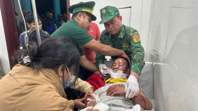 다낭에서 야생 곰에게 공격당한 주민