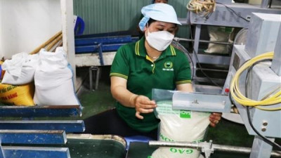 베트남, 싱가포르와의 쌀 무역 협력 양해각서(MOU) 내용 승인