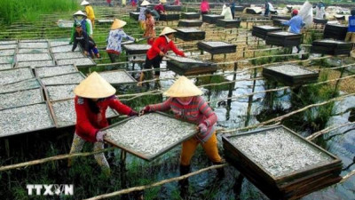 정부, 2030년까지 여성 소유 기업 30% 달성 목표