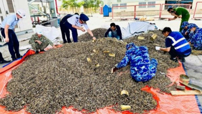 북부 하이퐁 딘부 항구에서 군용 탄환 및 포탄 25톤 이상 압수