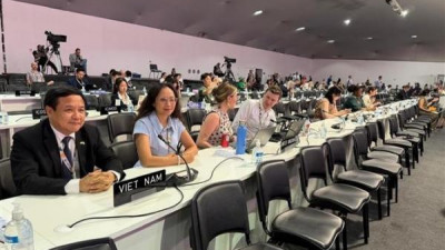 베트남, COP30 의회 회의 참석