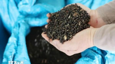 미국, 일부 주요 식품에 대한 보복 관세 면제 공식 발표