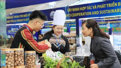 베트남-중국 국제 무역 박람회, 경제-무역-투자 협력 증진