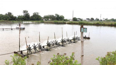 빈롱성, 10개 농업·농촌 개발 프로젝트에 투자 유치 추진
