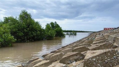 까마우, 해안 침식 방지 강화