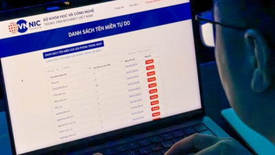 베트남 인터넷 네트워크 정보센터, 만료된 '.vn' 도메인 목록 최초 공개