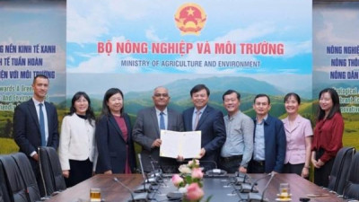 아시아개발은행, 베트남 중부 홍수 피해 지역 긴급 지원 200만 달러 발표