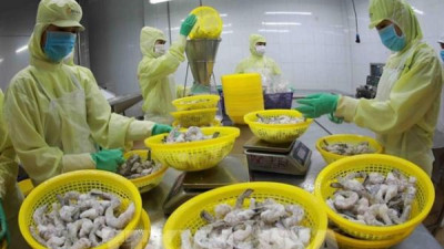 베트남 수산물 수출, 2025년 사상 최대 기록 전망