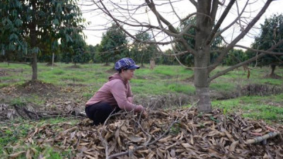 베트남, 태풍 피해 지역 대상 정책 대출 금리 인하