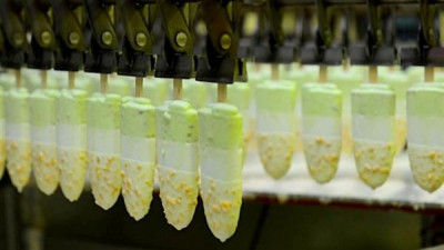 Kido 그룹, 아이스크림 사업 부문에서 자본 철수