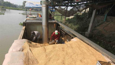 베트남, 2025년 쌀 800만 톤 이상 수출, 41억 달러 수입 예상