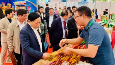 하노이, 2026 태국 주간 개최