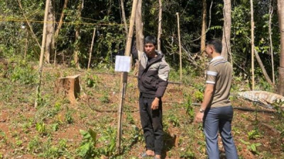 대마초 760그루 이상 재배 혐의로 남성 기소