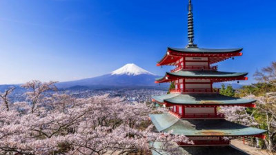 비엣젯, 베트남 하노이-일본 시즈오카 신규 노선 취향