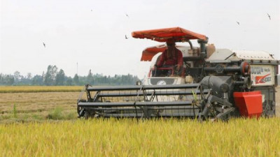 필리핀, 베트남 DT8 쌀을 새로운 수입 관세 기준점으로 검토 중