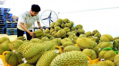 중국, 20개 농산물 수입 품목에 대해 공식 서류 요구